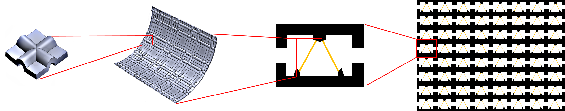 Hierarchy from a single cell to the full lattice